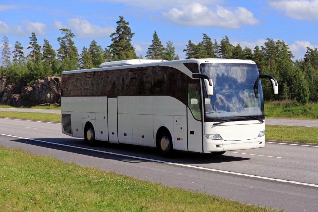 bus on the road