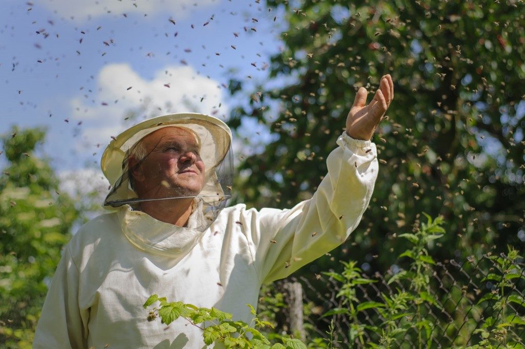 famer at his bee farm