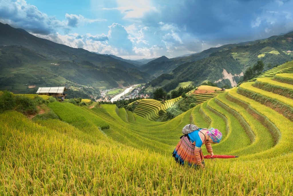 farmer