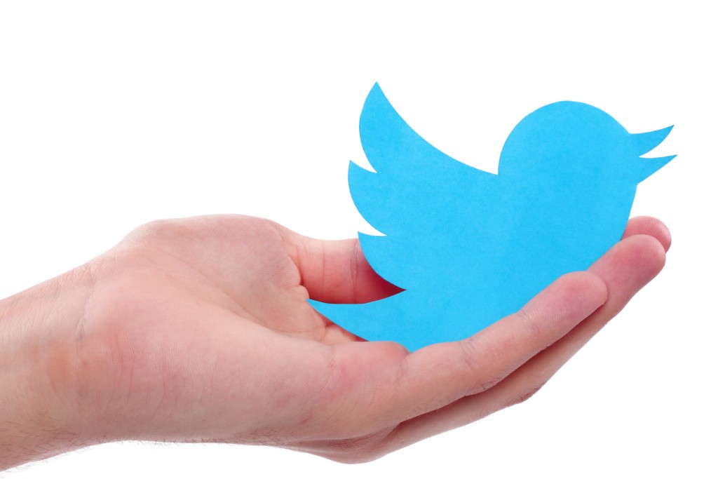 twitter icon on hand